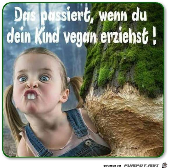 Vegan Vegan