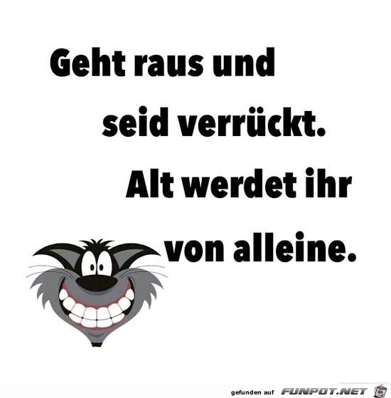 geht raus und seid verrckt.....