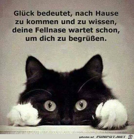 was Glück bedeutet was Glück bedeutet