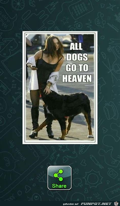 alle Hunde gehen ins Paradies alle Hunde gehen ins Paradies
