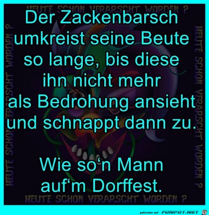 Vergleich Fisch und Mann Vergleich Fisch und Mann
