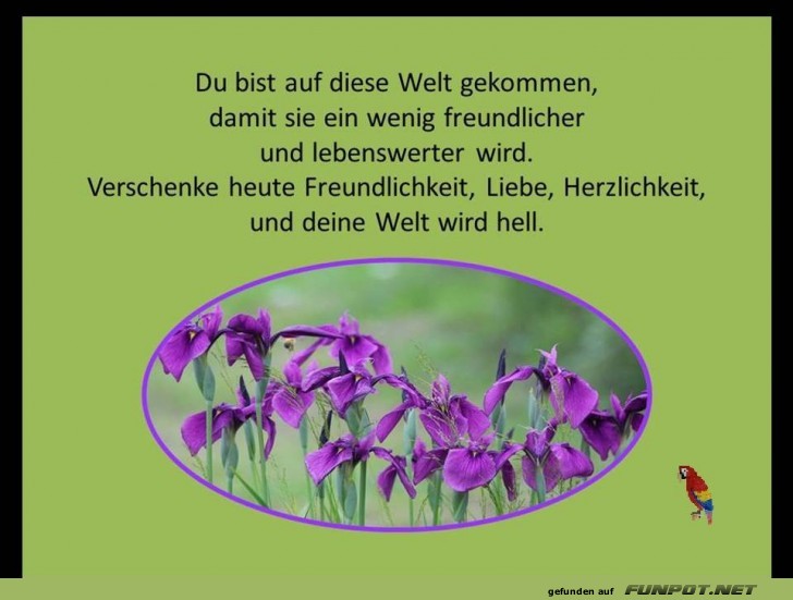 Du bist auf diese Welt gekommen Du bist auf diese Welt gekommen