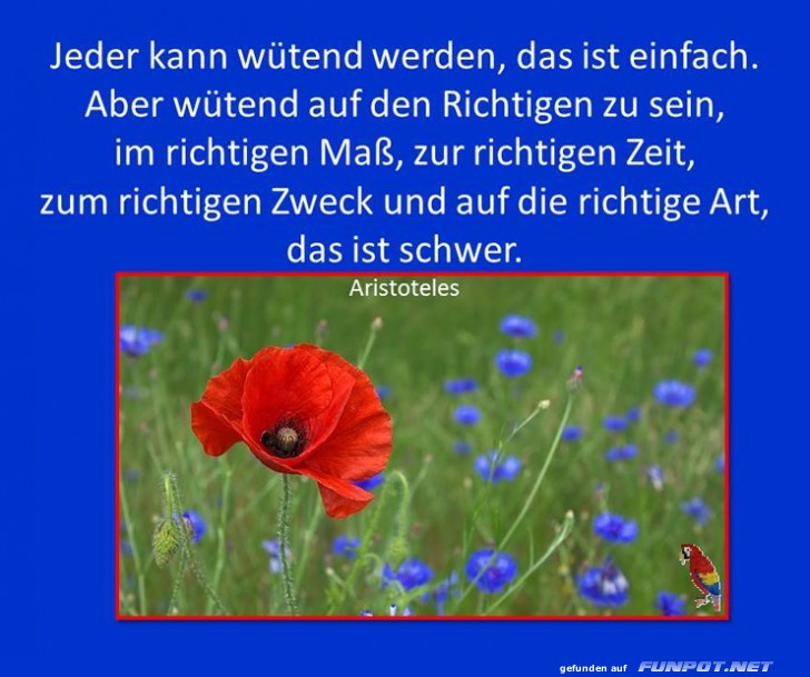 Jeder kann wuetend werden Jeder kann wuetend werden
