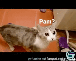 Ich zieh dich aus der Wanne Ich zieh dich aus der Wanne