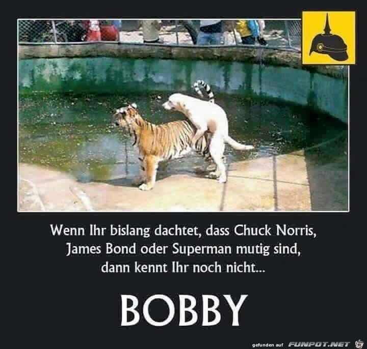 Bobby Bobby