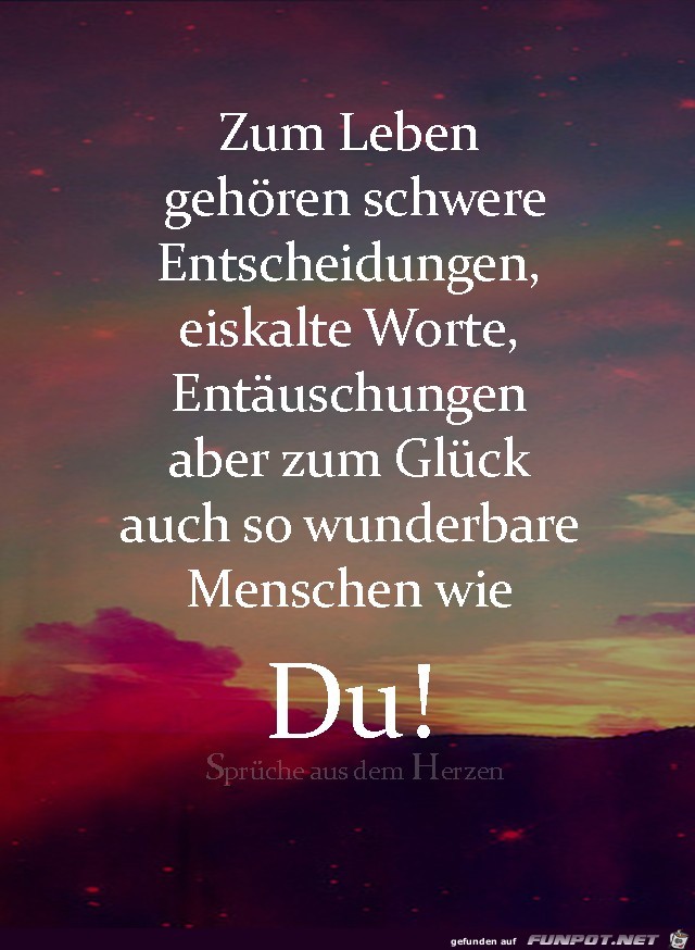 Zum Leben gehoeren Zum Leben gehoeren