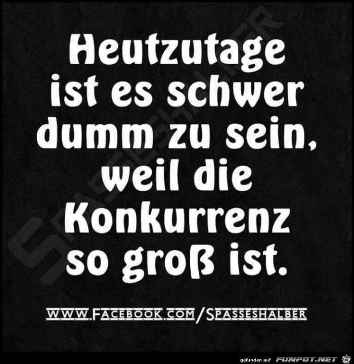 Konkurrenz Konkurrenz