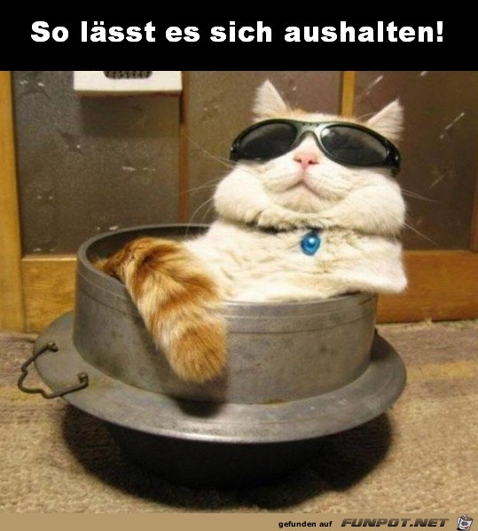 Sehr gechillt