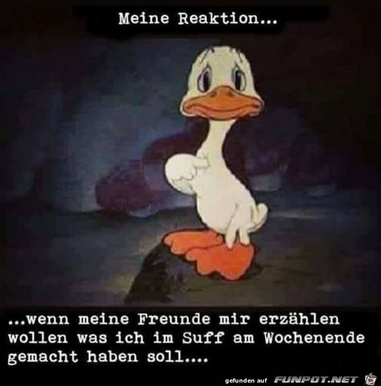 Die können viel erzählen Die können viel erzählen