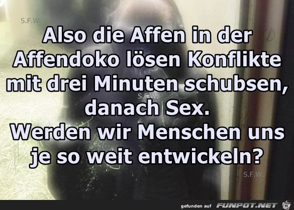 Also die Affen in der Also die Affen in der
