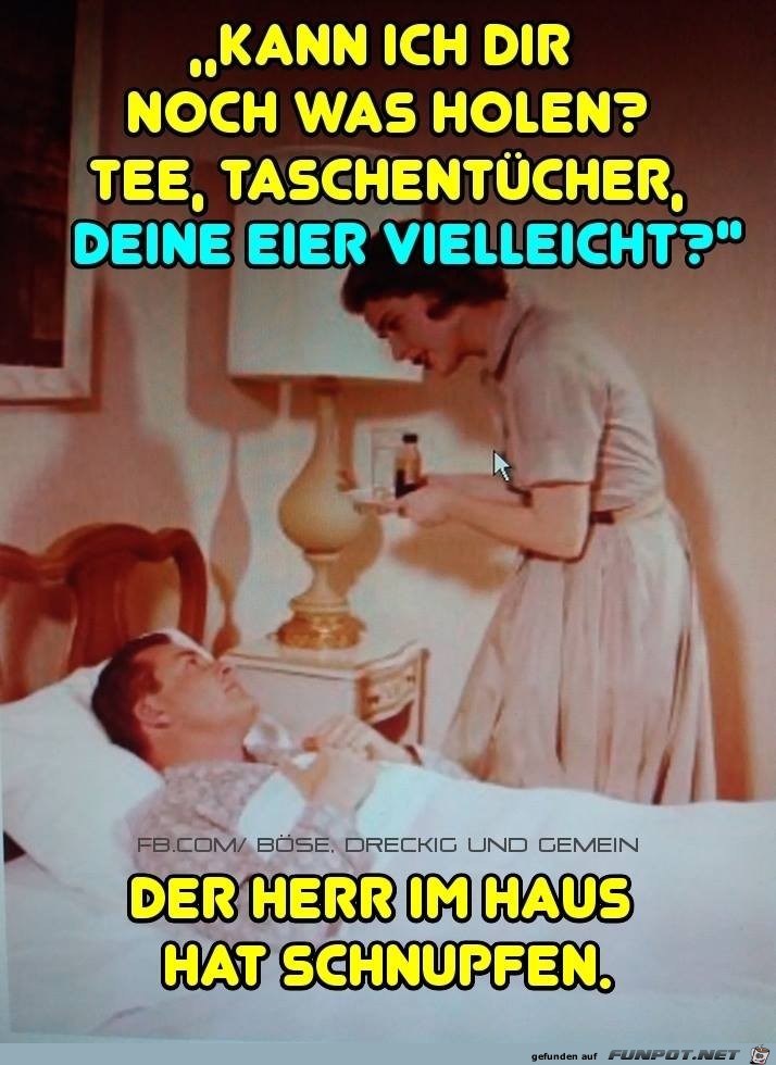 der Herr im Haus hat Schnupfen! der Herr im Haus hat Schnupfen!
