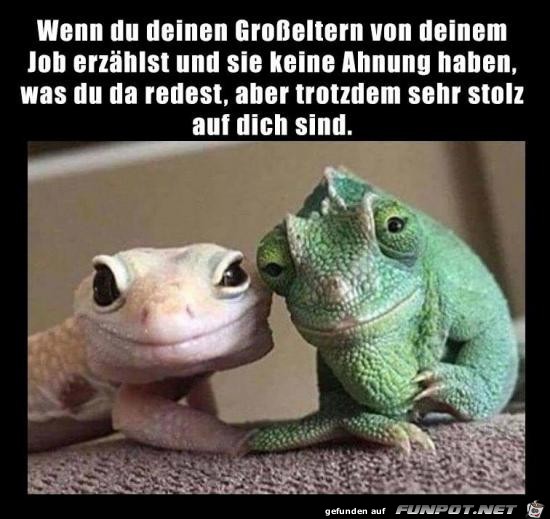 Wie lieb Wie lieb