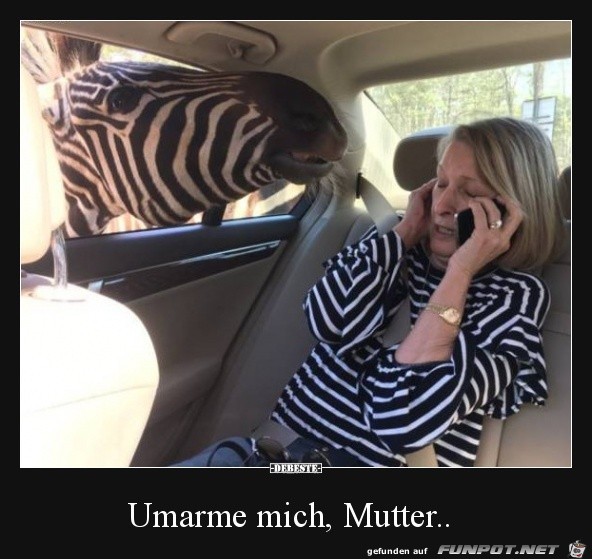 Endlich die Mutter gefunden Endlich die Mutter gefunden