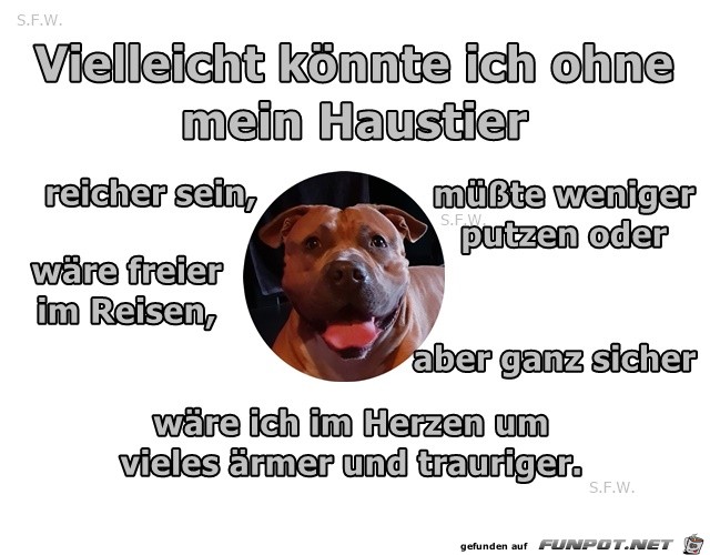 Vielleicht koennte ich ohne mein Vielleicht koennte ich ohne mein