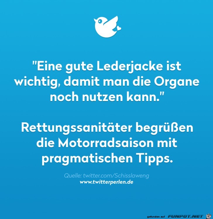 Eine gute Lederjacke Eine gute Lederjacke