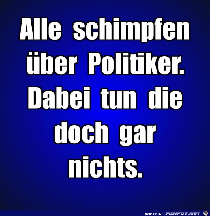 Politiker Politiker