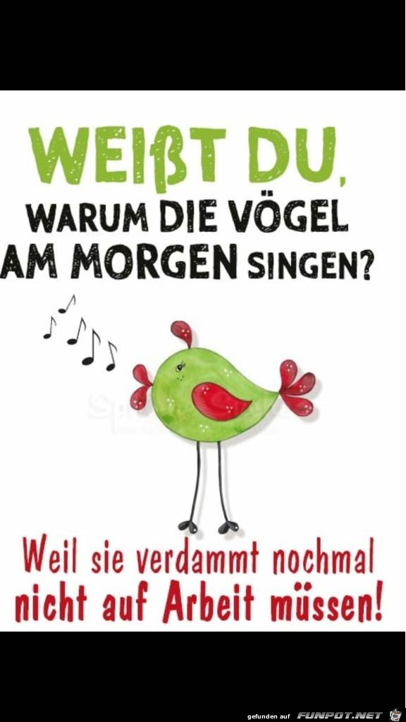 Die Vgel singen