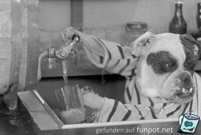 Bier kommt Bier kommt