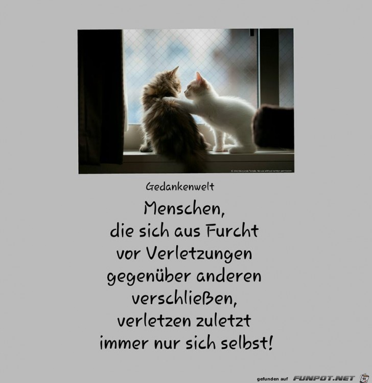 Menschen die sich aus Furcht Menschen die sich aus Furcht