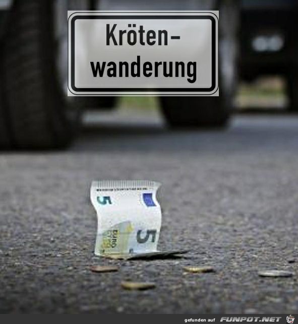 Krötenwanderung Krötenwanderung