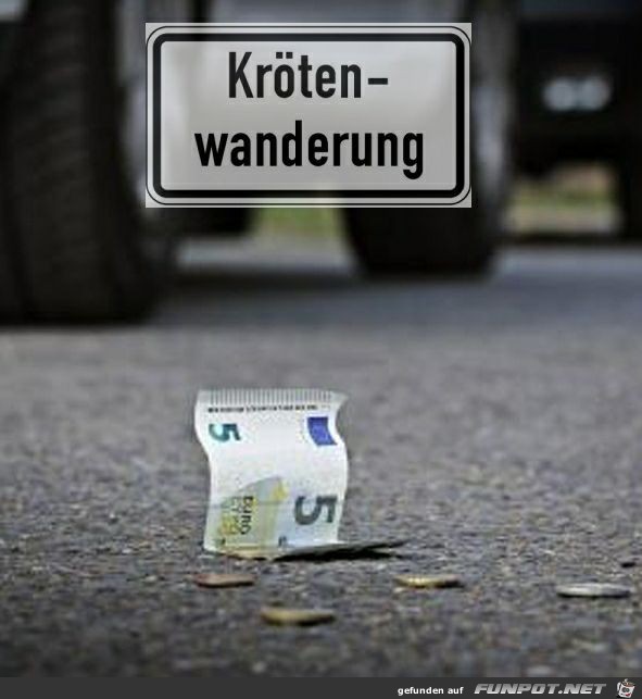 Krtenwanderung