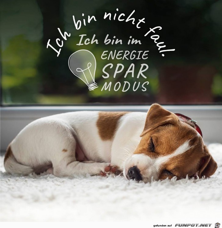 Bin nicht faul Bin nicht faul