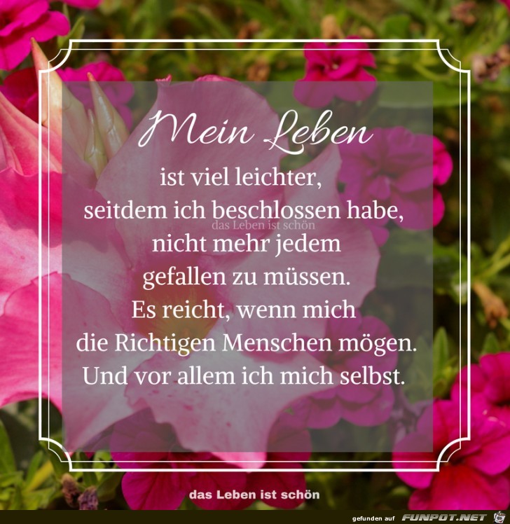 Mein Leben Mein Leben