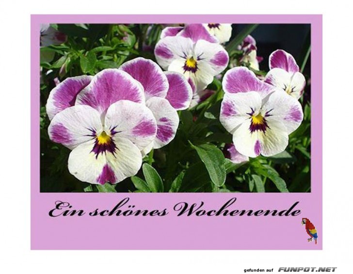 Ein schoenes Wochenende 3 Ein schoenes Wochenende 3
