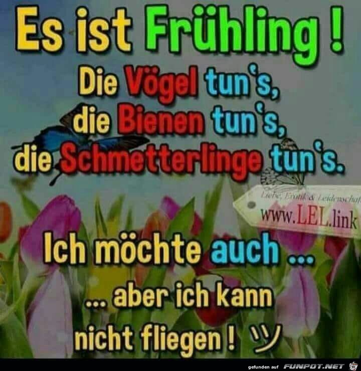 Fruehling Fruehling