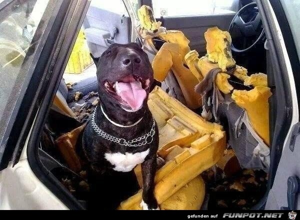 Das war ganze Arbeit Das war ganze Arbeit