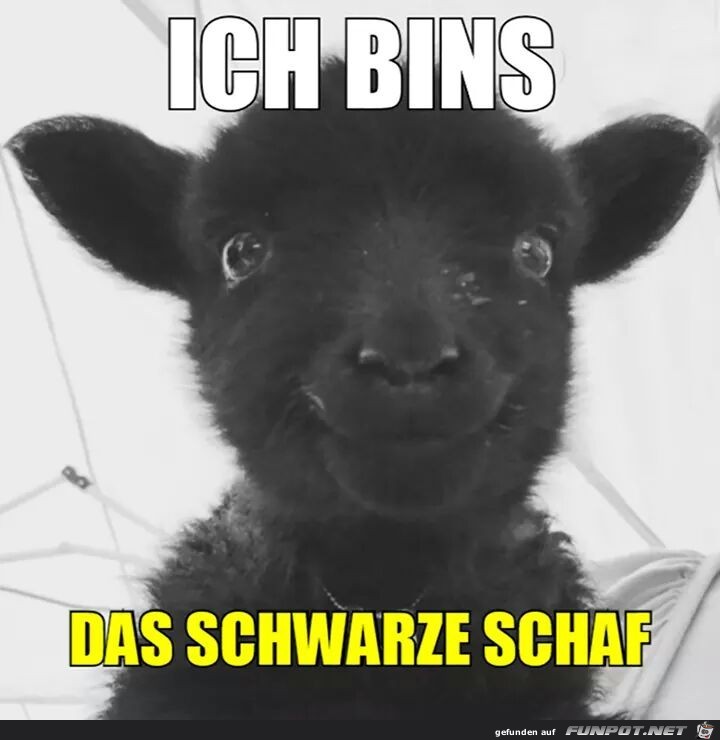 Ich bin's