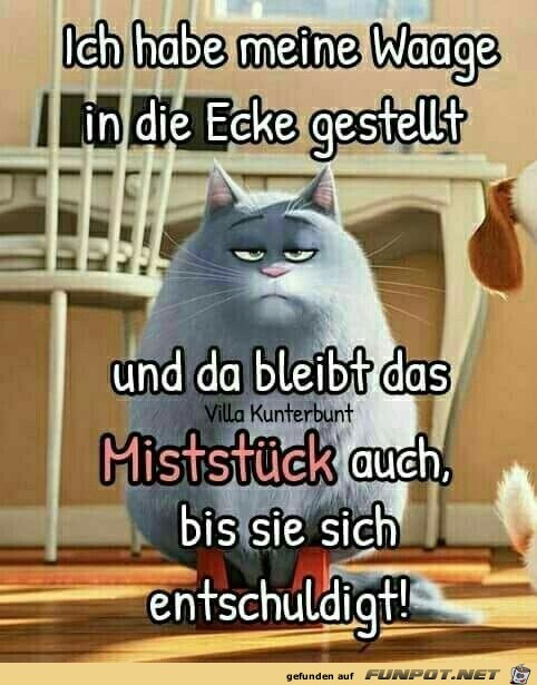 Ich habe meine Waage... Ich habe meine Waage...