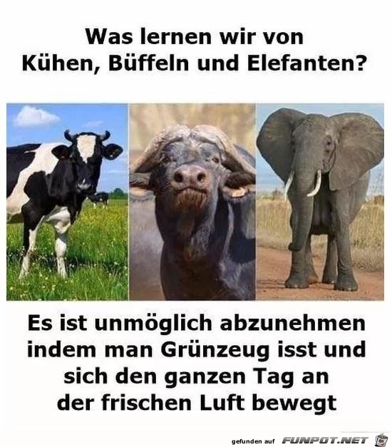 Der Beweis Der Beweis