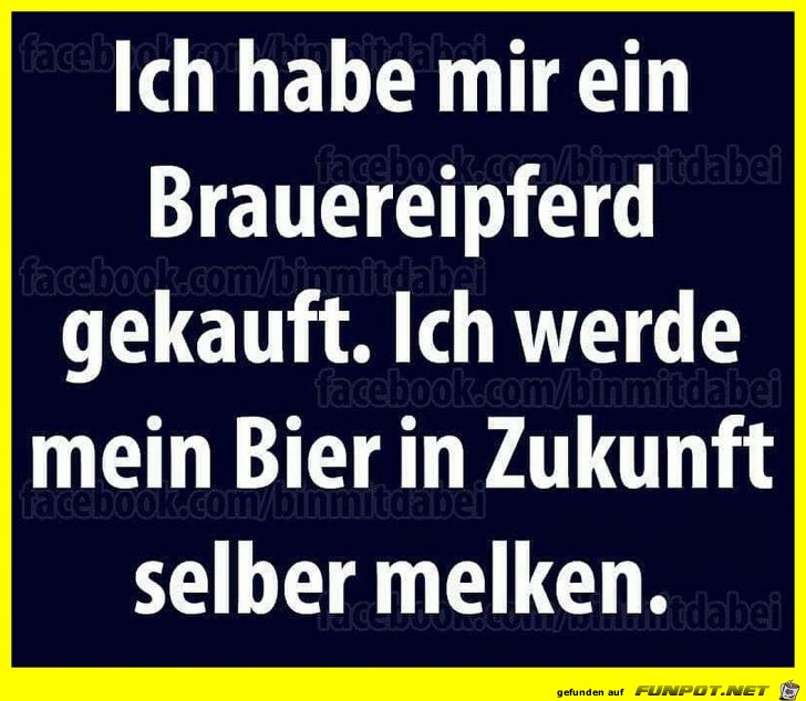 Pferd gekauft Pferd gekauft