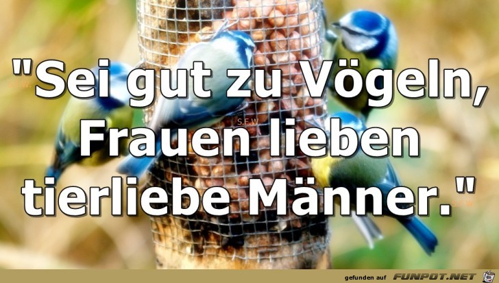 Sei gut Sei gut