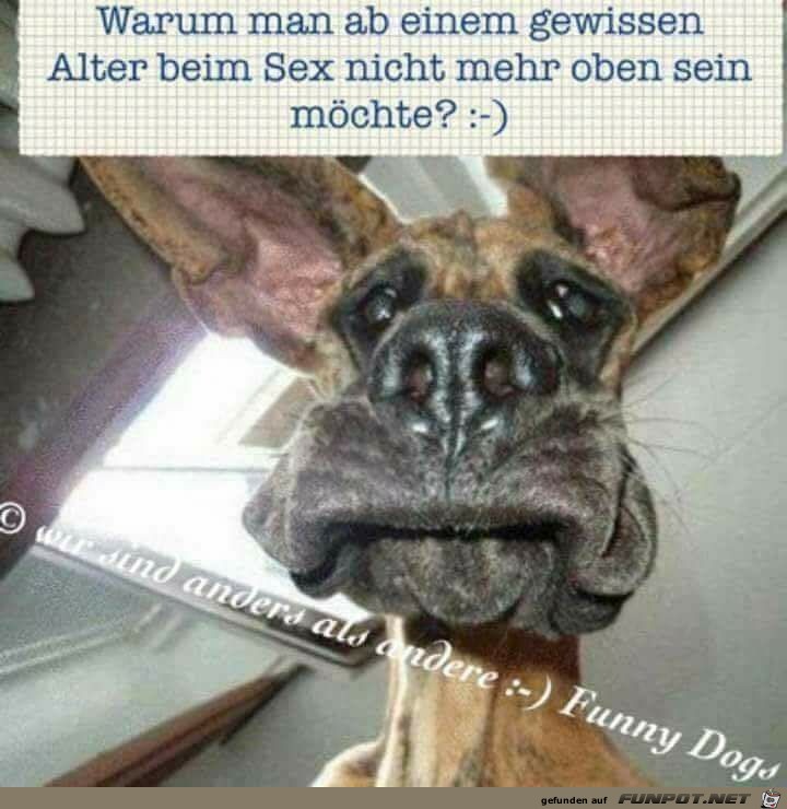 Sex im Alter