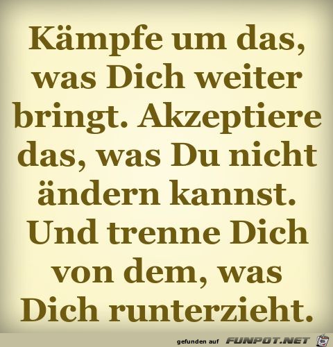 kmpfe um das was dich weiter bringt,....