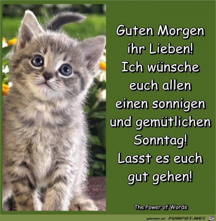 Guten Morgen ihr lieben Guten Morgen ihr lieben