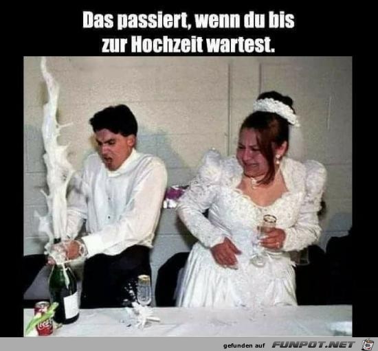 Ein echter Profi Ein echter Profi