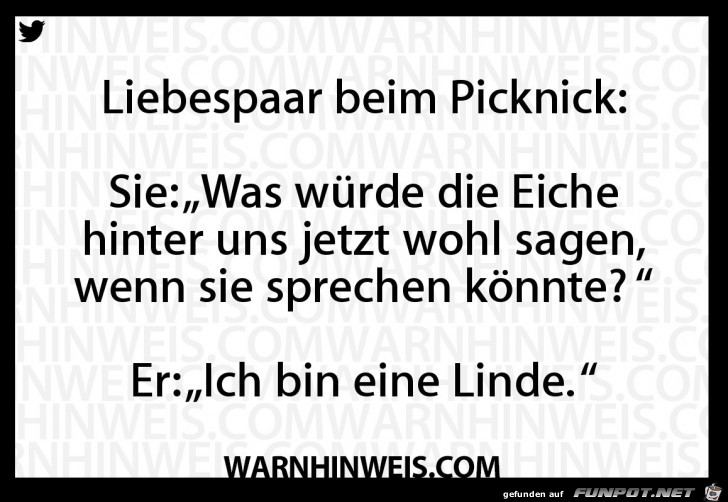 Liebespaar beim Picknick