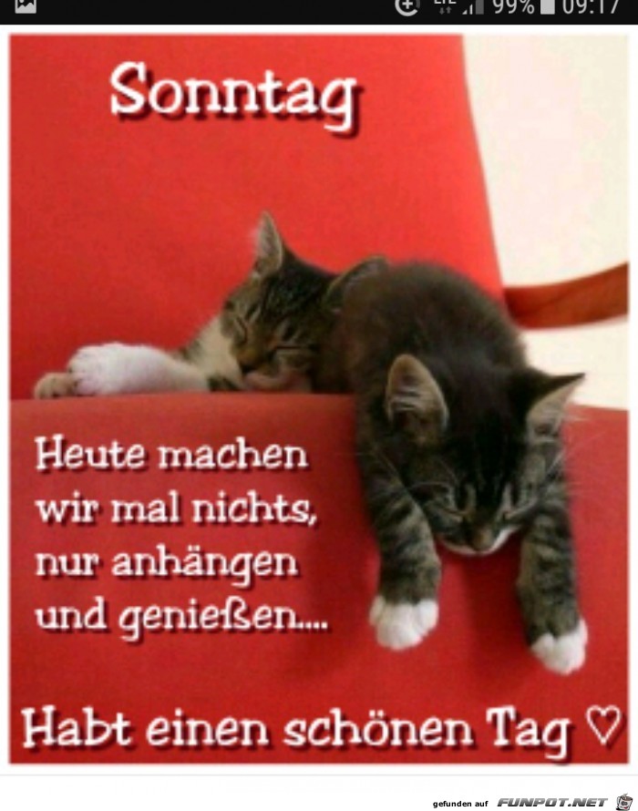 Sonntag