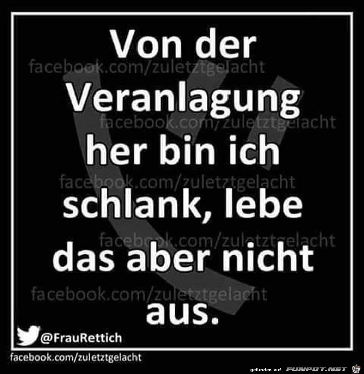 Veranlagung Veranlagung