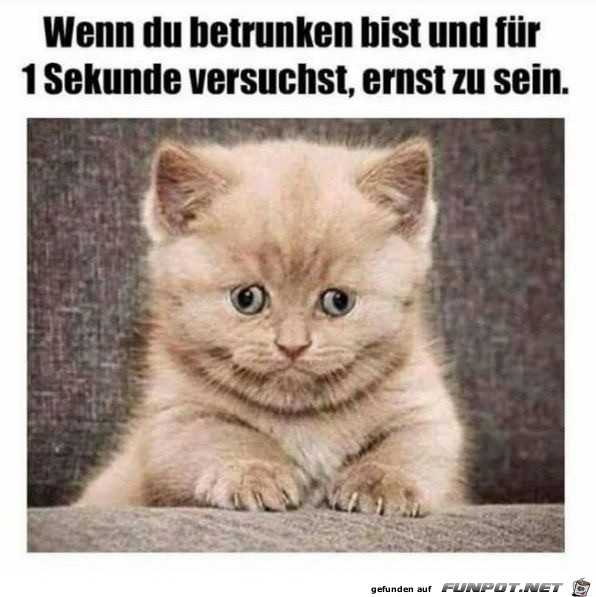Betrunken Betrunken