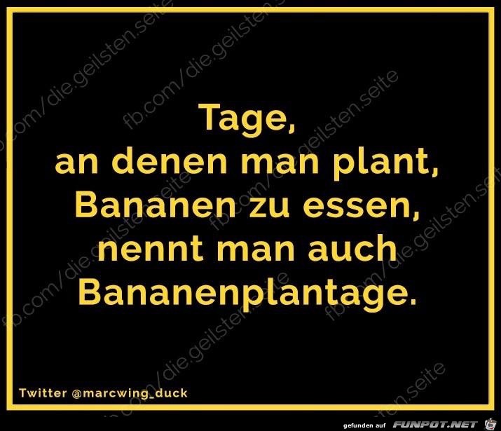 Bananenplantage