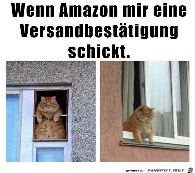 Versandbestätigung Versandbestätigung