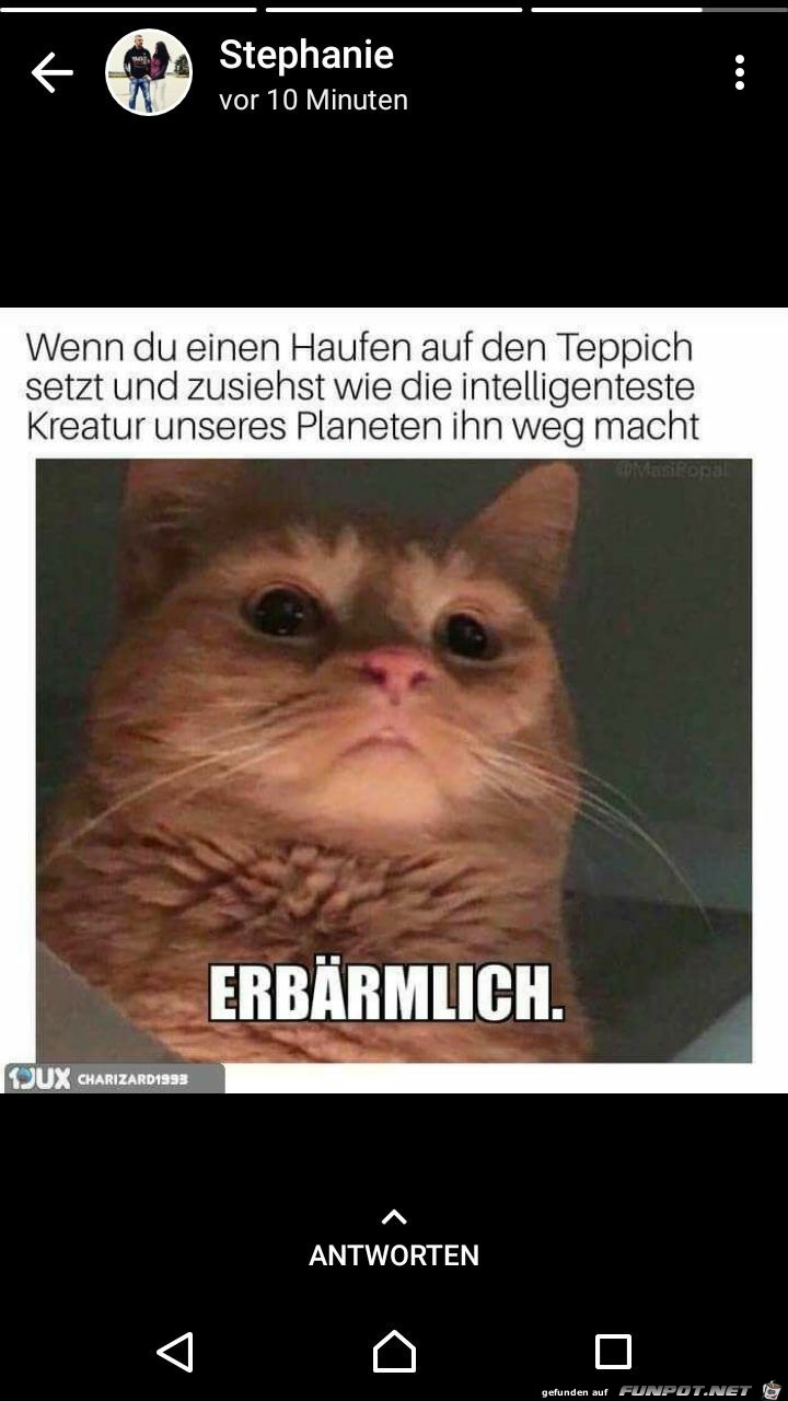 Erbärmlich... Erbärmlich...