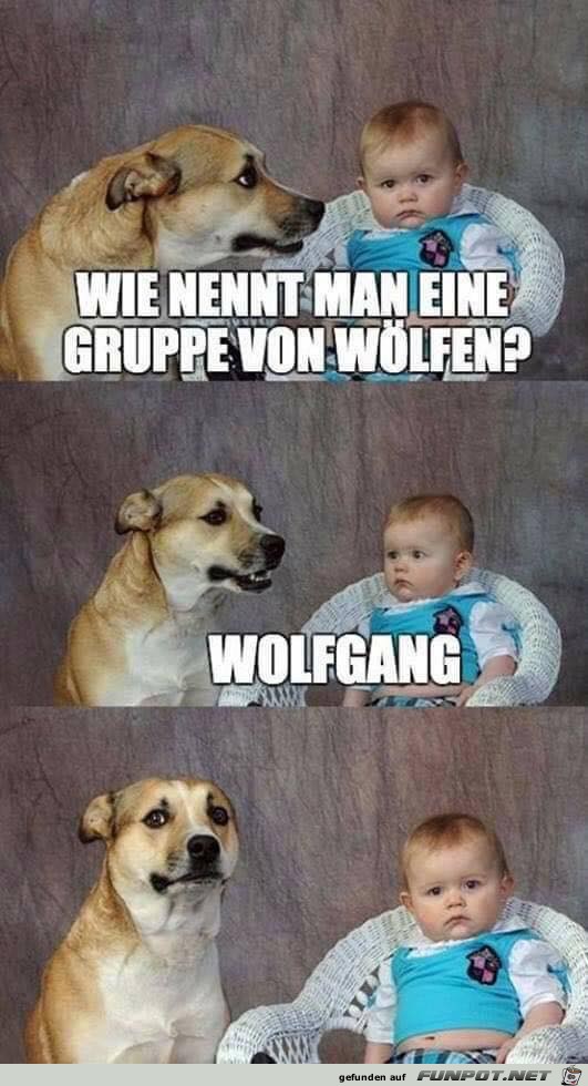 Wie nennt man eine Gruppe von Wlfen?