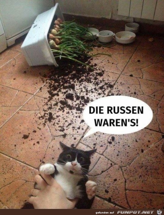 Die Russen warens