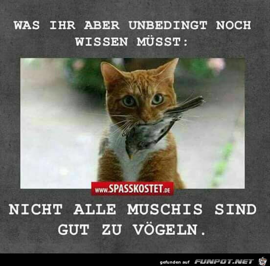 Was ihr unbedingt wissen müsst: Was ihr unbedingt wissen müsst: