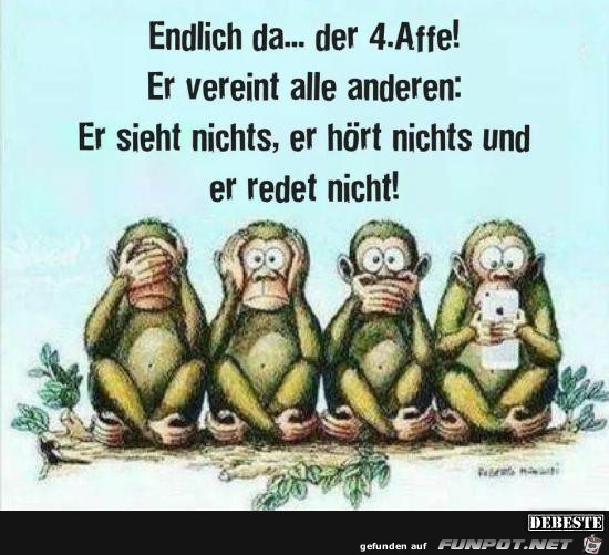 endlich da.. der 4. Affe... endlich da.. der 4. Affe...